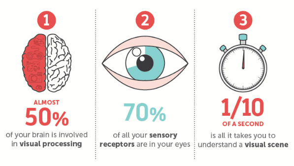 visual content brain wired